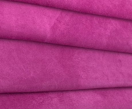 fuschia2